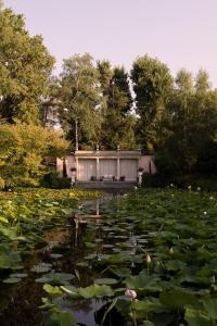Zahrada ubytování Relais La Foleia - Luxury Villa with private lake