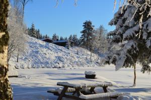 Trysil Hyttegrend að vetri til