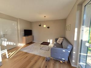 Una sala de estar con un sofá y un televisor. en Charmante 3-Schlafzimmer Wohnung mit Garten, en Lörrach