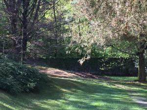 A garden outside Bed&Garden