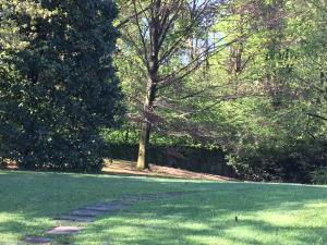 A garden outside Bed&Garden