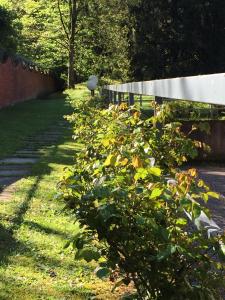 A garden outside Bed&Garden
