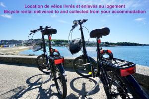 Deux vélos sont garés à côté de l'eau. dans l'établissement L'essentiel - parking - centre ville, à Concarneau