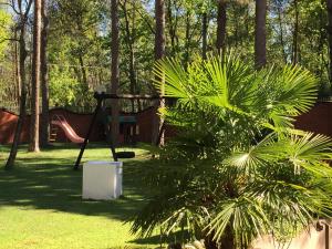 A garden outside Bed&Garden