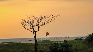 Fotografie z fotogalerie ubytování Beach House Varkala by Palmyra v destinaci Varkala