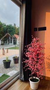 Fotografie z fotogalerie ubytování Beach House Varkala by Palmyra v destinaci Varkala