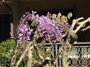 A garden outside Bed&Garden