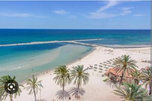 an aerial view of a beach with palm trees and the ocean at Sea front luxury living apartment in sousse in Sousse