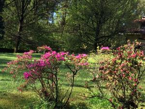 A garden outside Bed&Garden