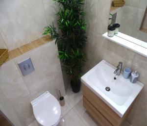 Vannituba majutusasutuses House Parancin