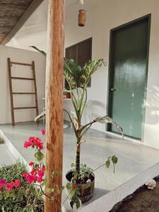 a plant in a pot on the floor of a house at Garden Village in El Nido