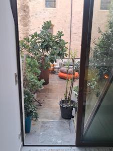 an open door to a patio with potted plants at Chambres de charme au cœur de la citadelle de Bastia in Bastia +11 photos
