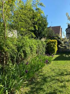 Galeriebild der Unterkunft La Maison Broc'Art in Auxerre