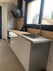 a kitchen with a sink and a window at Sur côte en Dombes in Villette-sur-ain