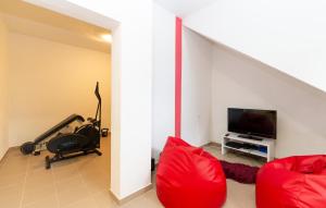 Televízia a/alebo spoločenská miestnosť v ubytovaní Pet Friendly Home In Pridraga With Wifi
