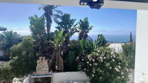 Un grupo de árboles y plantas en una pared. en View from the Hill room 1, en Mossel Bay