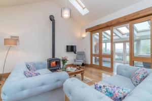 ペンリンダイドライスにあるRhiwgochのリビングルーム(青いソファ2台、暖炉付)