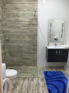 セングレアにあるSenglea Apartmentsのバスルーム(トイレ、洗面台、鏡付)