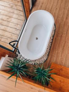 a toilet sitting on the floor next to two plants at Luna by NorAtlas Heritage in Varlămul +19 photos