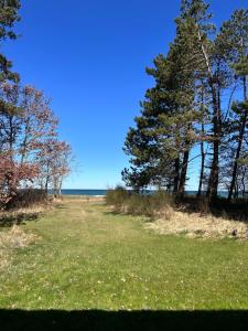 Galeriebild der Unterkunft Seaside holiday home in Grenå + 37 Fotos