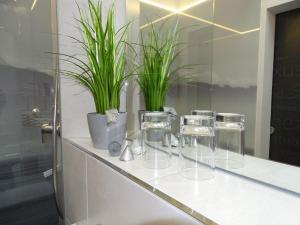 a counter with glasses and potted plants on it at Domizil am Park in Kressbronn am Bodensee