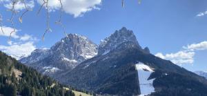 PeraにあるAppartamento Francaの湖を背景にした山