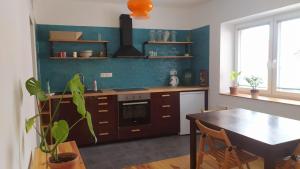 Kuchyň nebo kuchyňský kout v ubytování Ubytování Na Pěšině - Private Parking