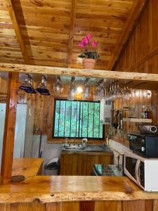 a kitchen with wooden walls and a wooden ceiling at Cabañas Antualen Casa 2 in Pucón