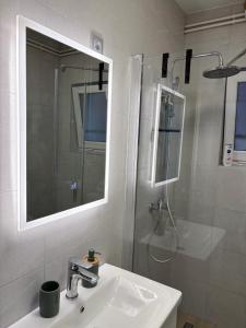 ein Badezimmer mit Waschbecken und Dusche mit Spiegel in der Unterkunft Apartman ZEN 2 in Popovača + 13 Fotos