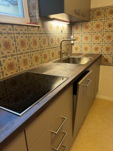 a kitchen with a sink and a counter top at Guest House 3 Binzen in Binzen