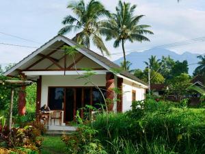 Zahrada ubytování Rice Field inn - Lombok