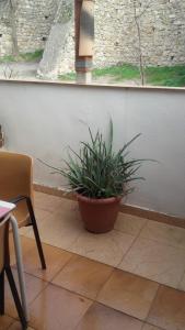 Billede fra billedgalleriet på Casa Avenida Guadalquivir i Cazorla