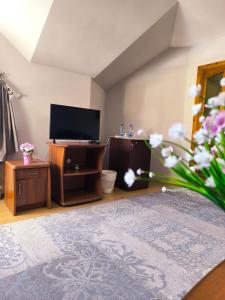 TV o dispositivi per l'intrattenimento presso Hotel Delfin