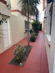 a sidewalk with a palm tree on the side of a building at Depto funcional en Comodoro! in Comodoro Rivadavia