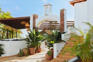a courtyard of a house with potted plants at Hotel Jardín Tecina in Playa de Santiago