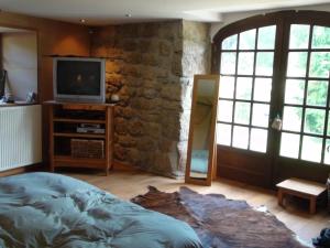 ル・シャンボン・シュル・リニョンにあるVilla spacieuse avec piscine à Le Chambon-sur-Lignonの石壁のベッドルーム(テレビ付)
