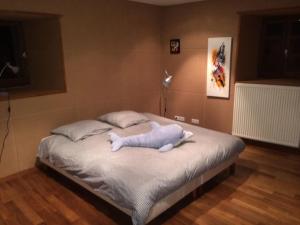 ル・シャンボン・シュル・リニョンにあるVilla spacieuse avec piscine à Le Chambon-sur-Lignonのぬいぐるみが置かれたベッドのある寝室 +16枚の写真