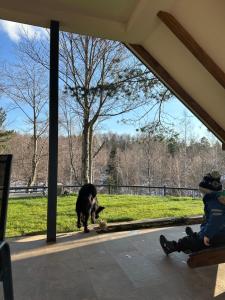 Gosti koji borave u objektu Forest House Divcibare