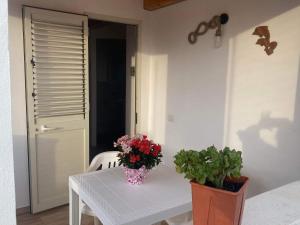 a table with two vases of flowers on it at Villa Ninfa in Lampedusa +9 photos