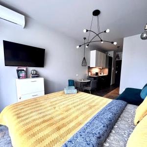 Μια τηλεόραση ή/και κέντρο ψυχαγωγίας στο Studio Krzemieniecka, metro Słodowiec, heating, free parking by Cosmo Spirit