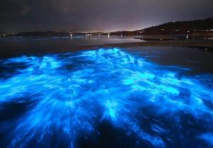 a group of blue bubbles in the water at night at Unit 109 -1br Apt Oceanfront Complex With Pool in Cocoa Beach