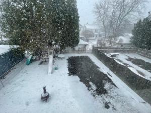 a yard covered in snow with two birds in it at Come home to Kenwood Conveniently located Syracuse in Syracuse