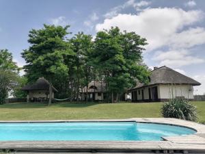 Πισίνα στο ή κοντά στο Nádas Tanya 2 maisons en pleine nature et Piscine