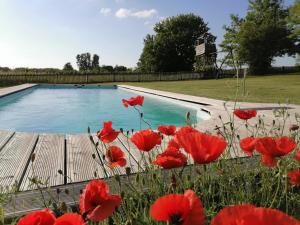 a swimming pool with red flowers in front of it at Nádas Tanya 2 maisons en pleine nature et Piscine in Orgovány