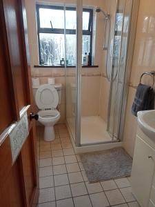 a bathroom with a shower and a toilet and a window at Mindful gentle soul in Waterford