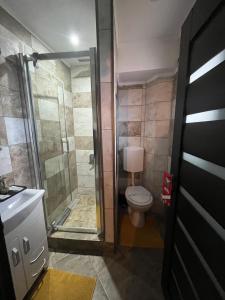 a bathroom with a shower with a toilet and a sink at VITRUVIAN Apartament 13 - Self check in 24h in Reşiţa +18 photos
