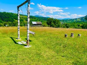 a tree in a field with a swing at Maramures Landscape in Moisei