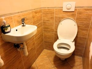 Koupelna v ubytování APARTMÁN SLAVKOV home & parking