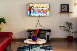 a living room with a tv and a vase on a table at Appart meublé Excellentia Edea in Edéa