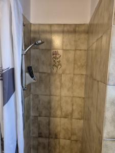 a shower with a shower head in a bathroom at La casa di Arnika in Baveno